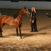 2009 Egyptian Event - Thursday