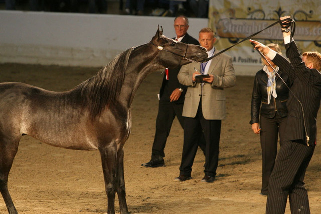 2009 Egyptian Event - Thursday