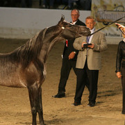 2009 Egyptian Event - Thursday