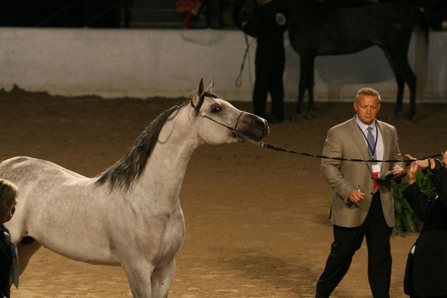 2009 Egyptian Event - Thursday