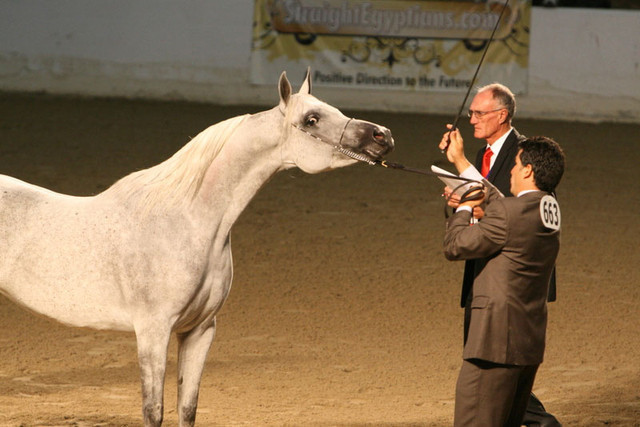 2009 Egyptian Event - Thursday