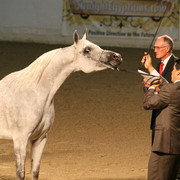 2009 Egyptian Event - Thursday