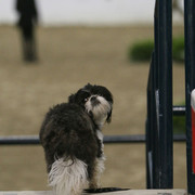 2009 Egyptian Event - Thursday