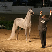 2009 Egyptian Event - Thursday