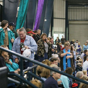 2009 Egyptian Event - Thursday