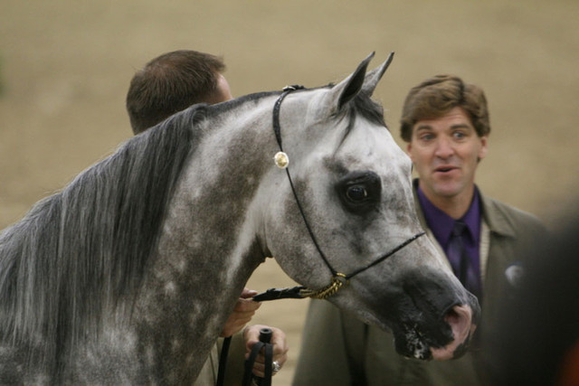 2009 Egyptian Event - Thursday