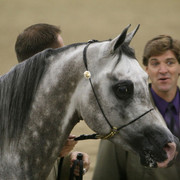 2009 Egyptian Event - Thursday