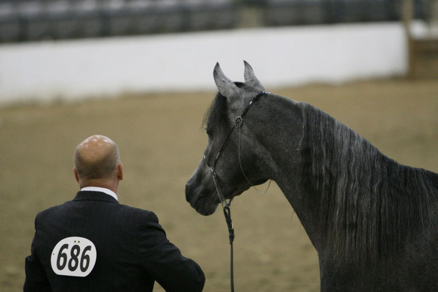 2009 Egyptian Event - Thursday