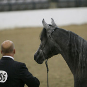 2009 Egyptian Event - Thursday