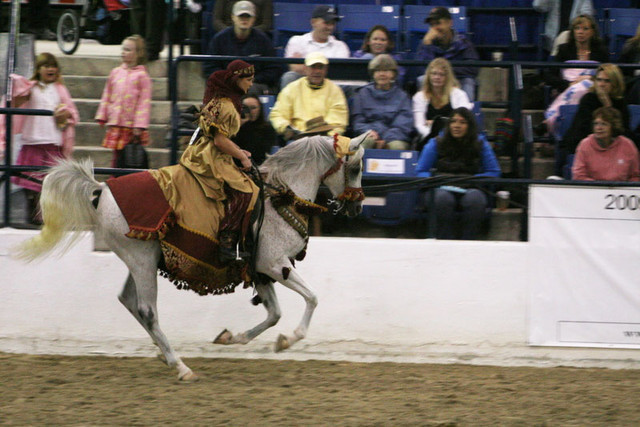 2009 Egyptian Event - Thursday