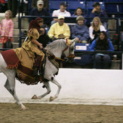 2009 Egyptian Event - Thursday