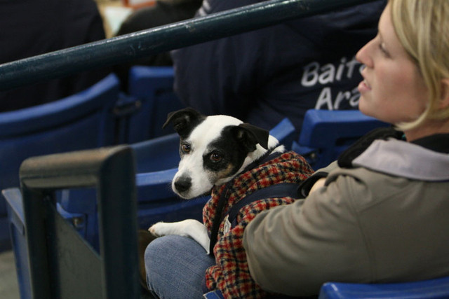 2009 Egyptian Event - Thursday