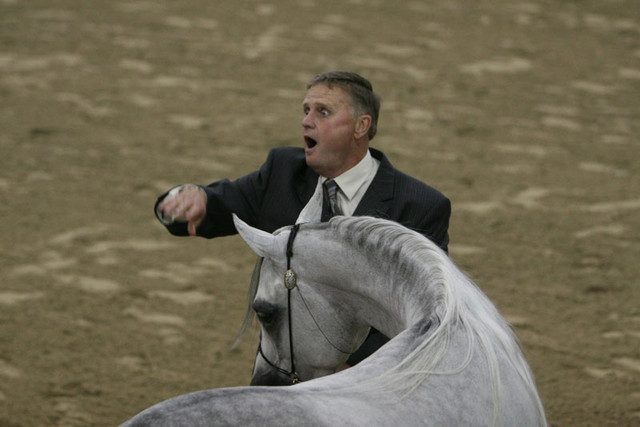 2009 Egyptian Event - Thursday