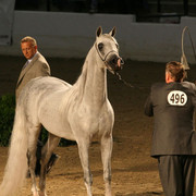 2009 Egyptian Event - Thursday