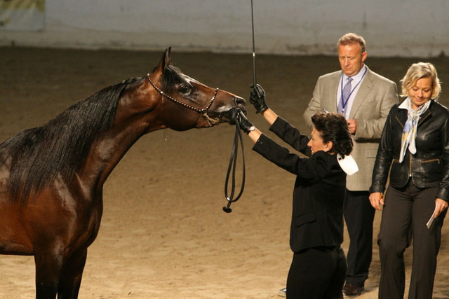 2009 Egyptian Event - Thursday