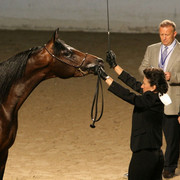 2009 Egyptian Event - Thursday