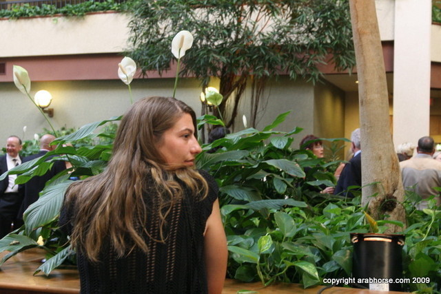 2009 Egyptian Event Gala