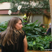 2009 Egyptian Event Gala