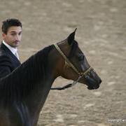 2009 Egyptian Event - Friday