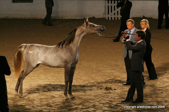 2009 Egyptian Event - Friday