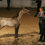 2009 Egyptian Event - Friday