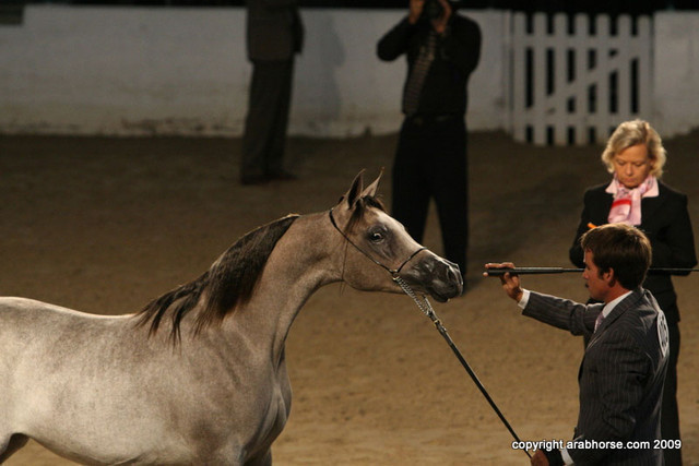 2009 Egyptian Event - Friday