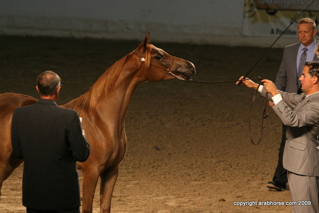2009 Egyptian Event - Friday