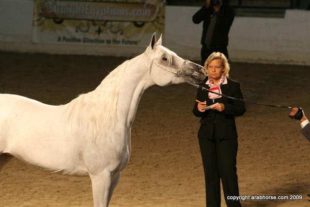 2009 Egyptian Event - Friday