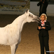 2009 Egyptian Event - Friday