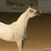 2009 Egyptian Event - Friday