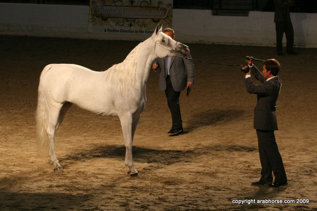 2009 Egyptian Event - Friday