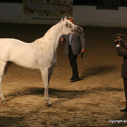 2009 Egyptian Event - Friday