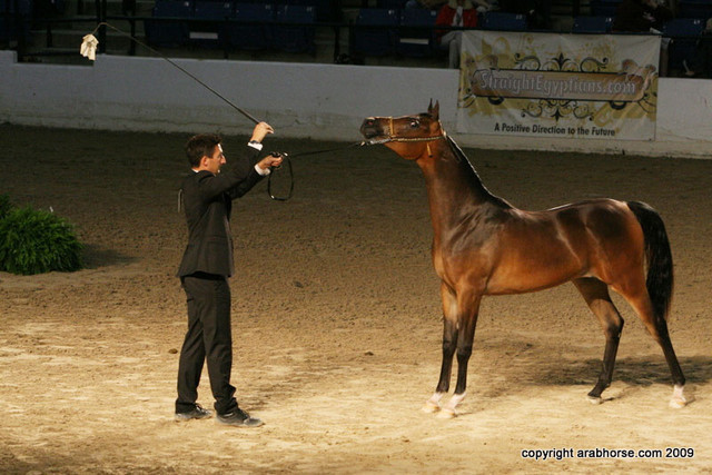 2009 Egyptian Event - Friday