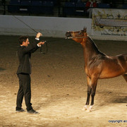 2009 Egyptian Event - Friday