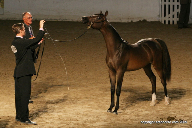 2009 Egyptian Event - Friday