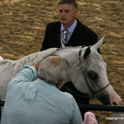 2009 Egyptian Event - Friday