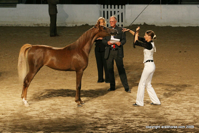 2009 Egyptian Event - Friday