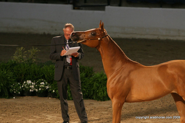 2009 Egyptian Event - Friday