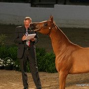 2009 Egyptian Event - Friday