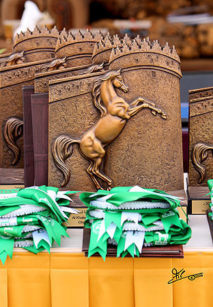 Al Khalediah Arabian Horse Festival - January 2009