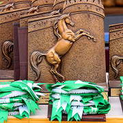 Al Khalediah Arabian Horse Festival - January 2009