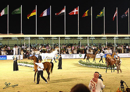 Al Khalediah Arabian Horse Festival - January 2009