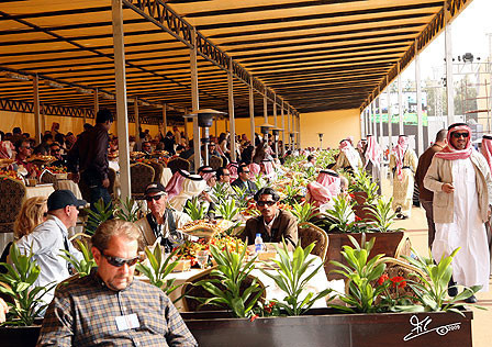 Al Khalediah Arabian Horse Festival - January 2009