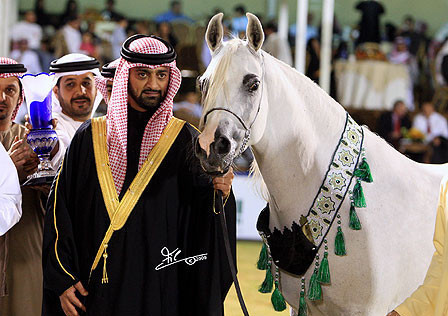 Bess Faizah - Champion Mare - Al Khalediah Arabian Horse Festival - January 2009