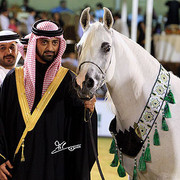 Bess Faizah - Champion Mare - Al Khalediah Arabian Horse Festival - January 2009