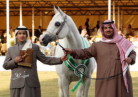 Kharelle - Reserve Champion Mare