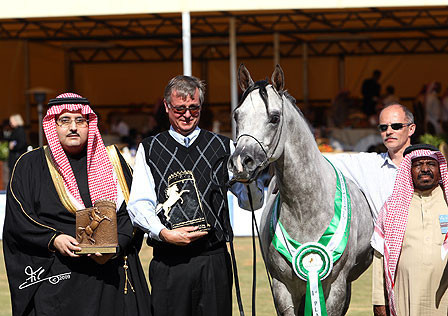 Kabsztad - Reserve Champion Colt