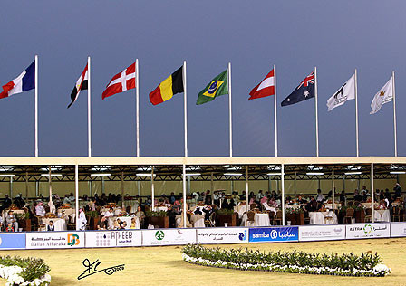Al Khalediah Arabian Horse Festival - January 2009