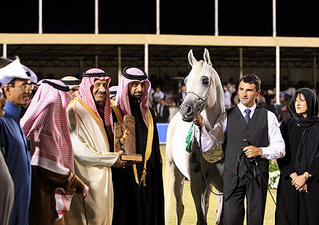 Om El Extream - Reserve Champion Stallion - Al Khalediah Arabian Horse Festival - January 2009