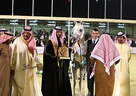 Badawieh - Reserve Champion Filly